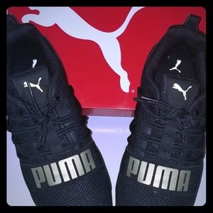 Puma cell regulate woven